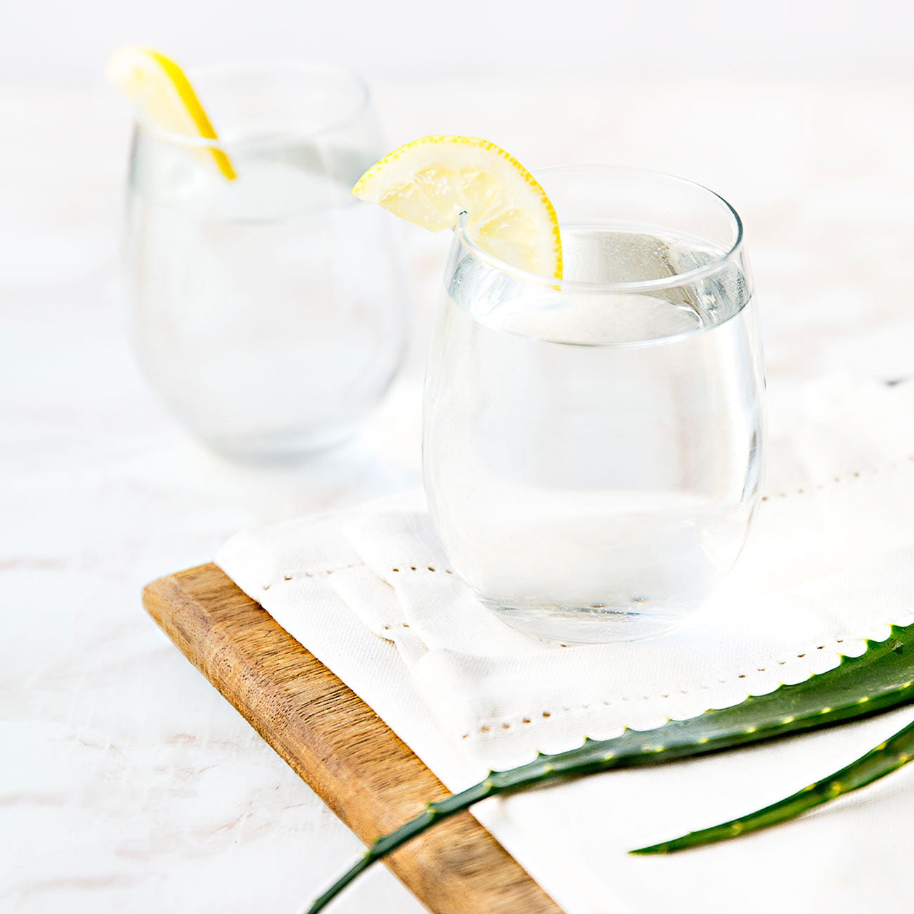 Aloe Max - Integratore alimentare a base di puro gel d'Aloe