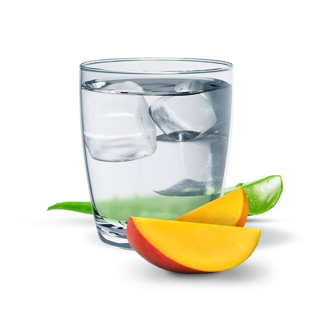 Aloe concentrato alle erbe Aloe Gusto Mango 1,89 l