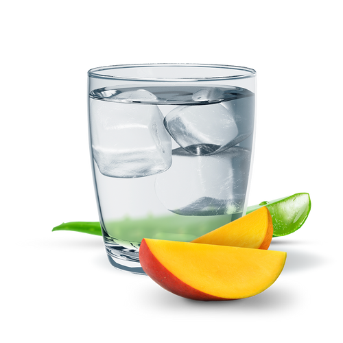 Aloe concentrato alle erbe Aloe Gusto Mango 1,89 l