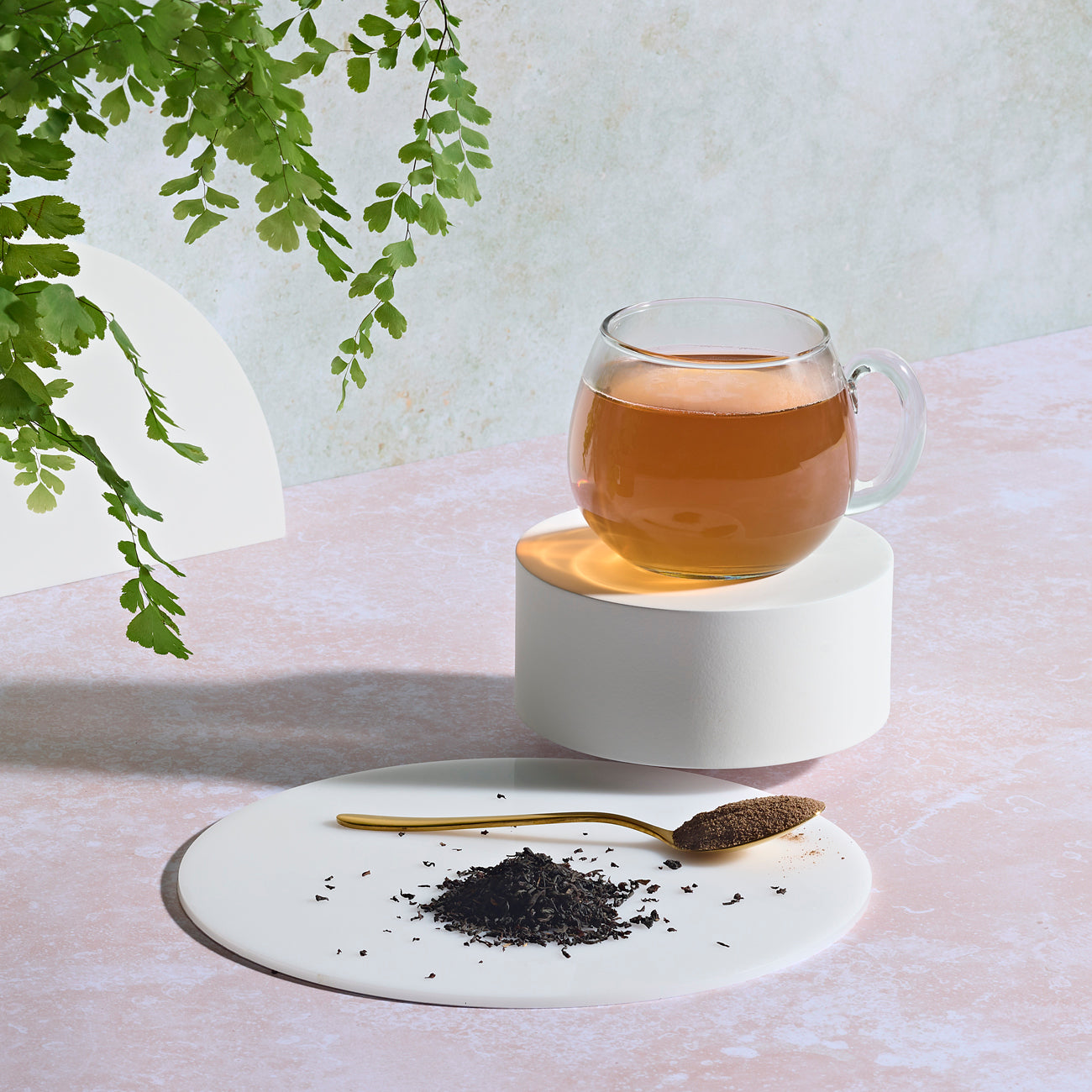Infuso a base di erbe - polvere solubile