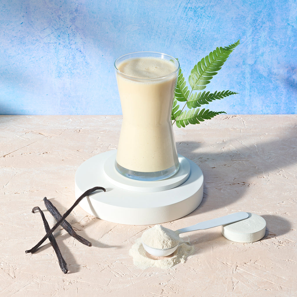 Protein Drink Mix 21 porzioni